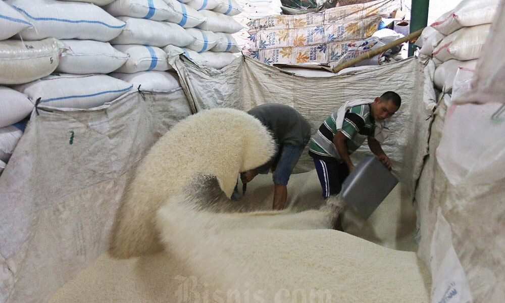 Anomali Beras RI: Stok Melimpah, Harga Mahal