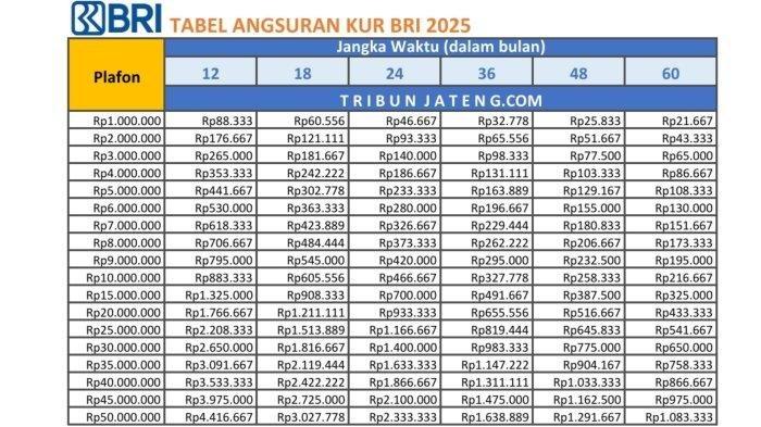 Hati Tenang, Ajukan KUR BRI Hingga 80 Juta Tanpa Jaminan dengan Syarat yang Mudah